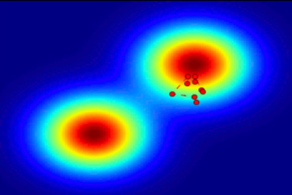 Inference for dynamical systems